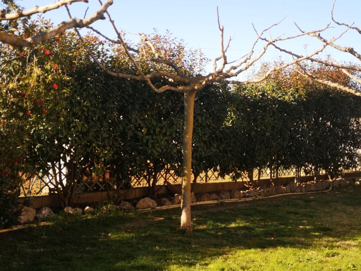 Holiday home Casa Rural, Masia Antigua Restaurada